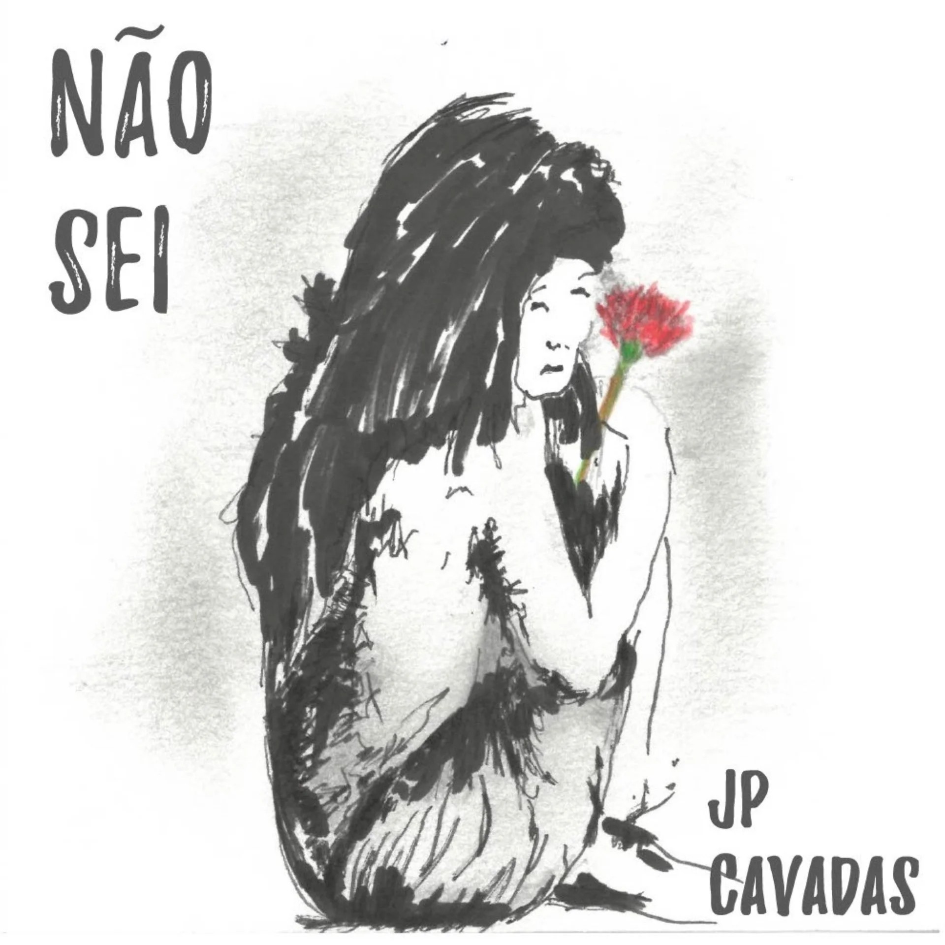 Capa de Não Sei